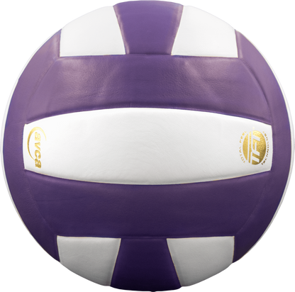 Baden Sports Perfection Leather Volleyball