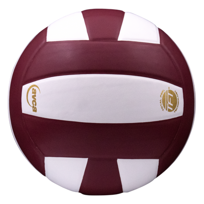 Baden Sports Perfection Leather Volleyball