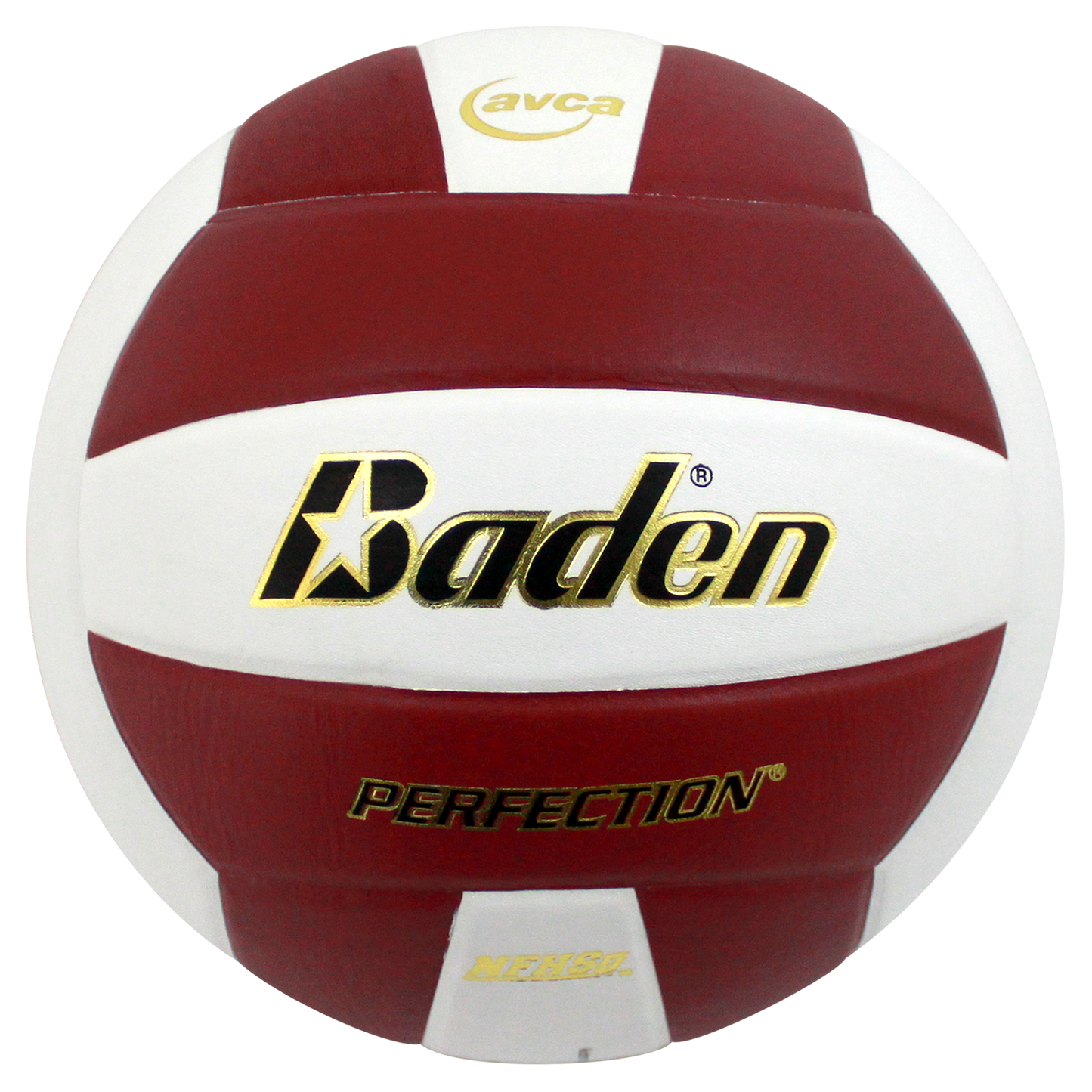 Baden Sports Perfection Leather Volleyball