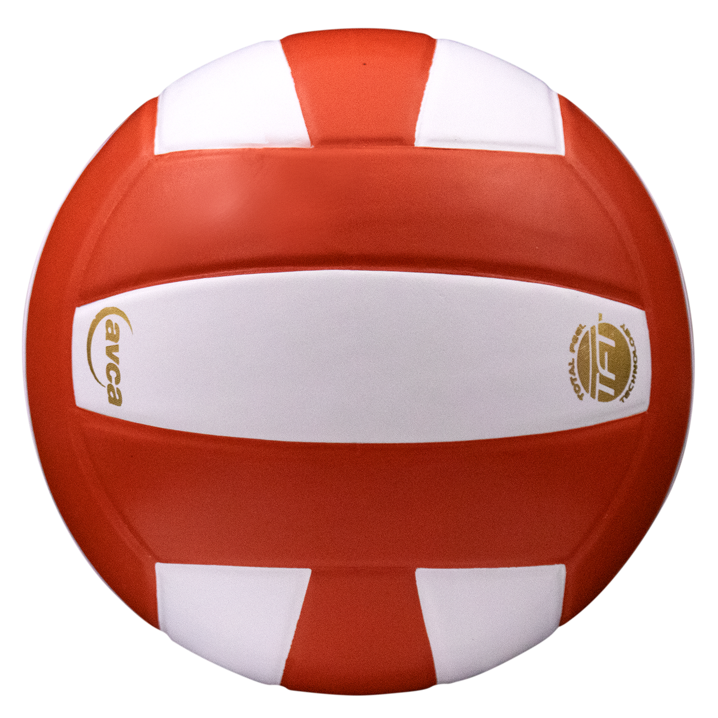 Baden Sports Perfection Leather Volleyball