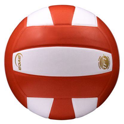 Baden Sports Perfection Leather Volleyball