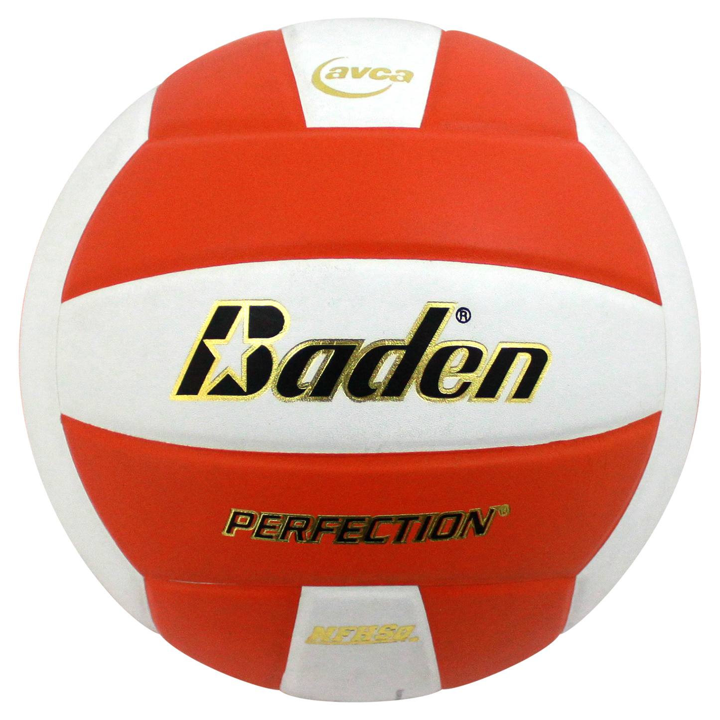 Baden Sports Perfection Leather Volleyball