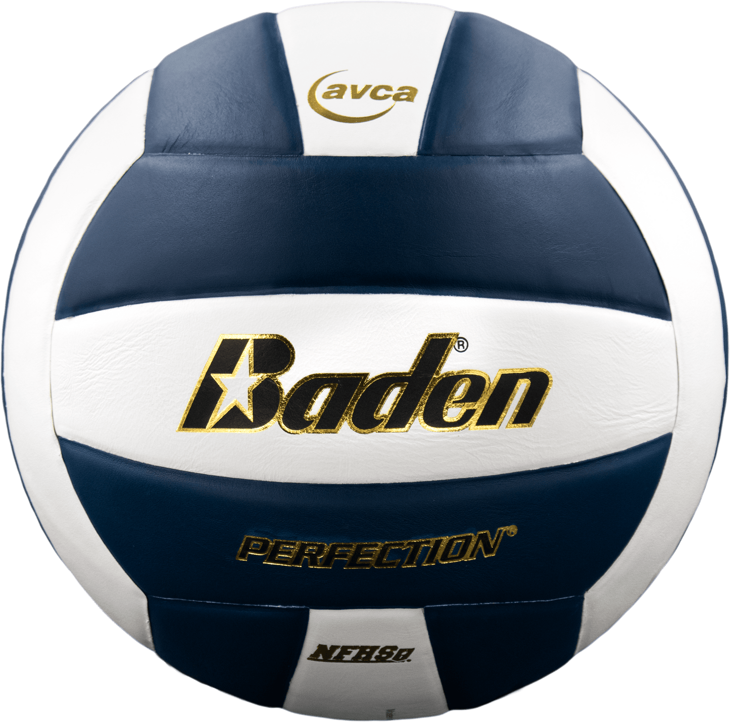 Baden Sports Perfection Leather Volleyball