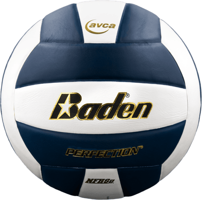 Baden Sports Perfection Leather Volleyball