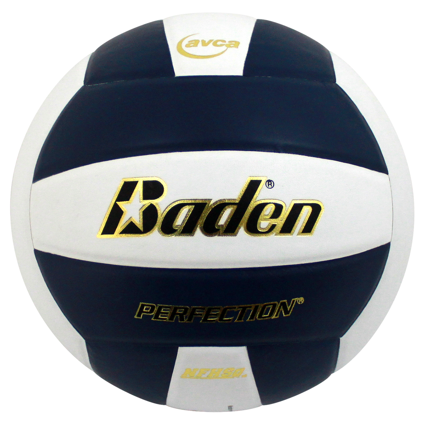 Baden Sports Perfection Leather Volleyball