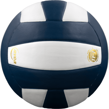 Baden Sports Perfection Leather Volleyball