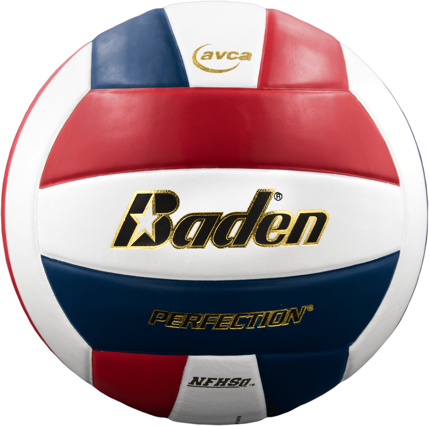 Baden Sports Perfection Leather Volleyball