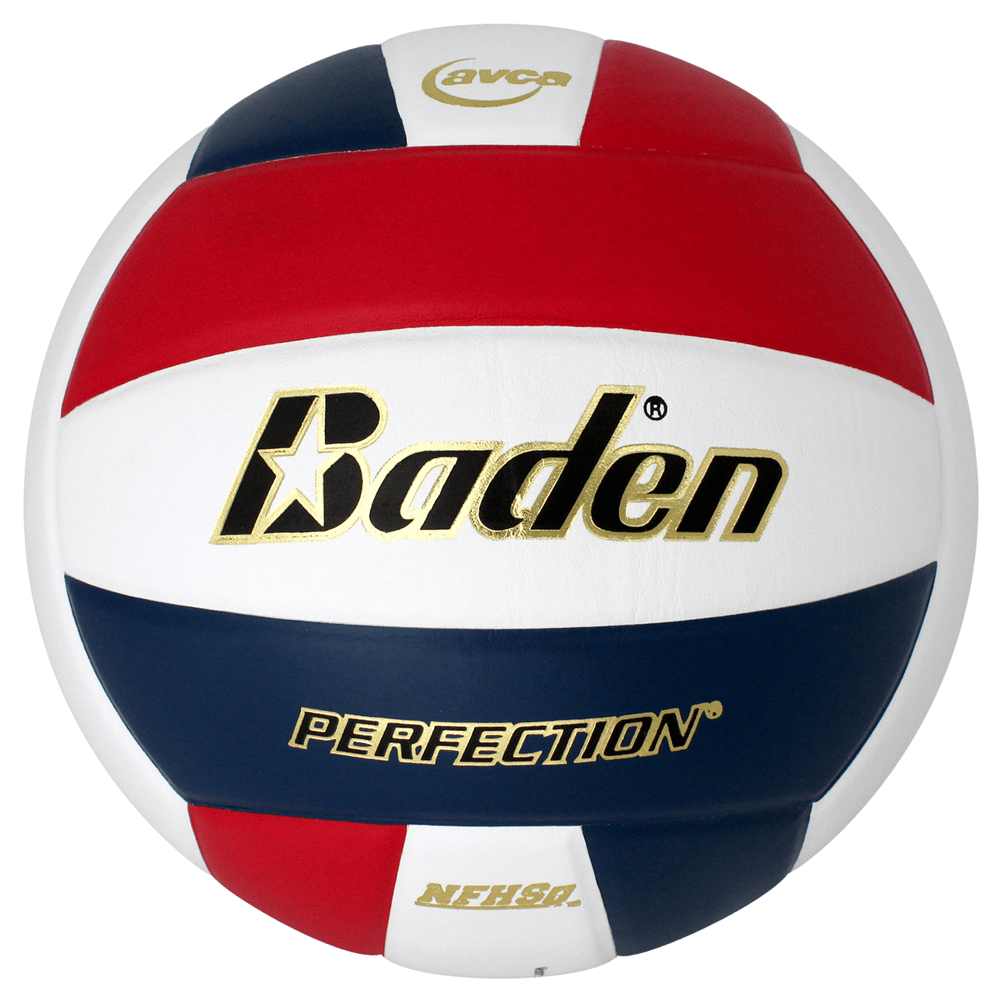 Baden Sports Perfection Leather Volleyball