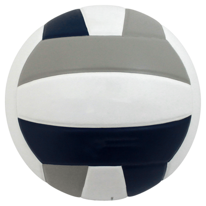 Baden Sports Perfection Leather Volleyball