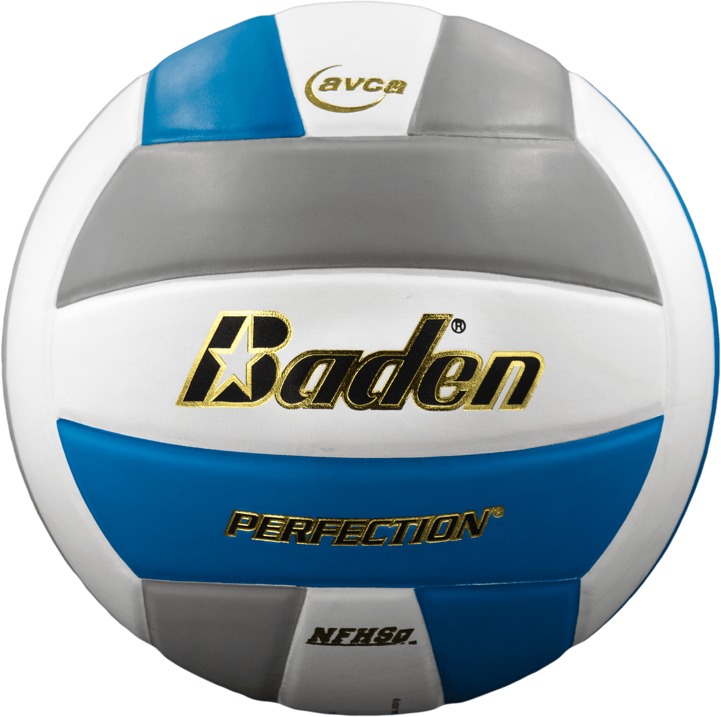Baden Sports Perfection Leather Volleyball