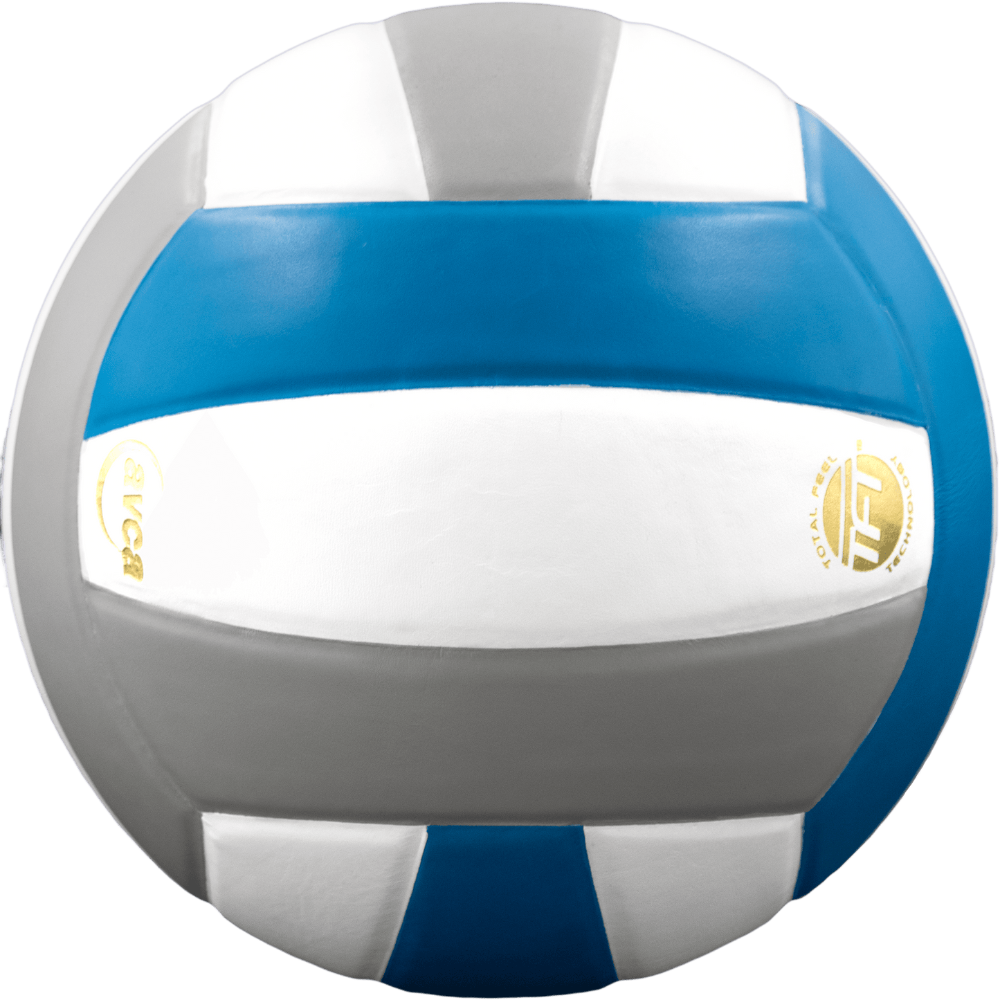 Baden Sports Perfection Leather Volleyball