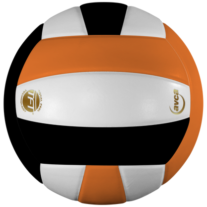 Baden Sports Perfection Leather Volleyball