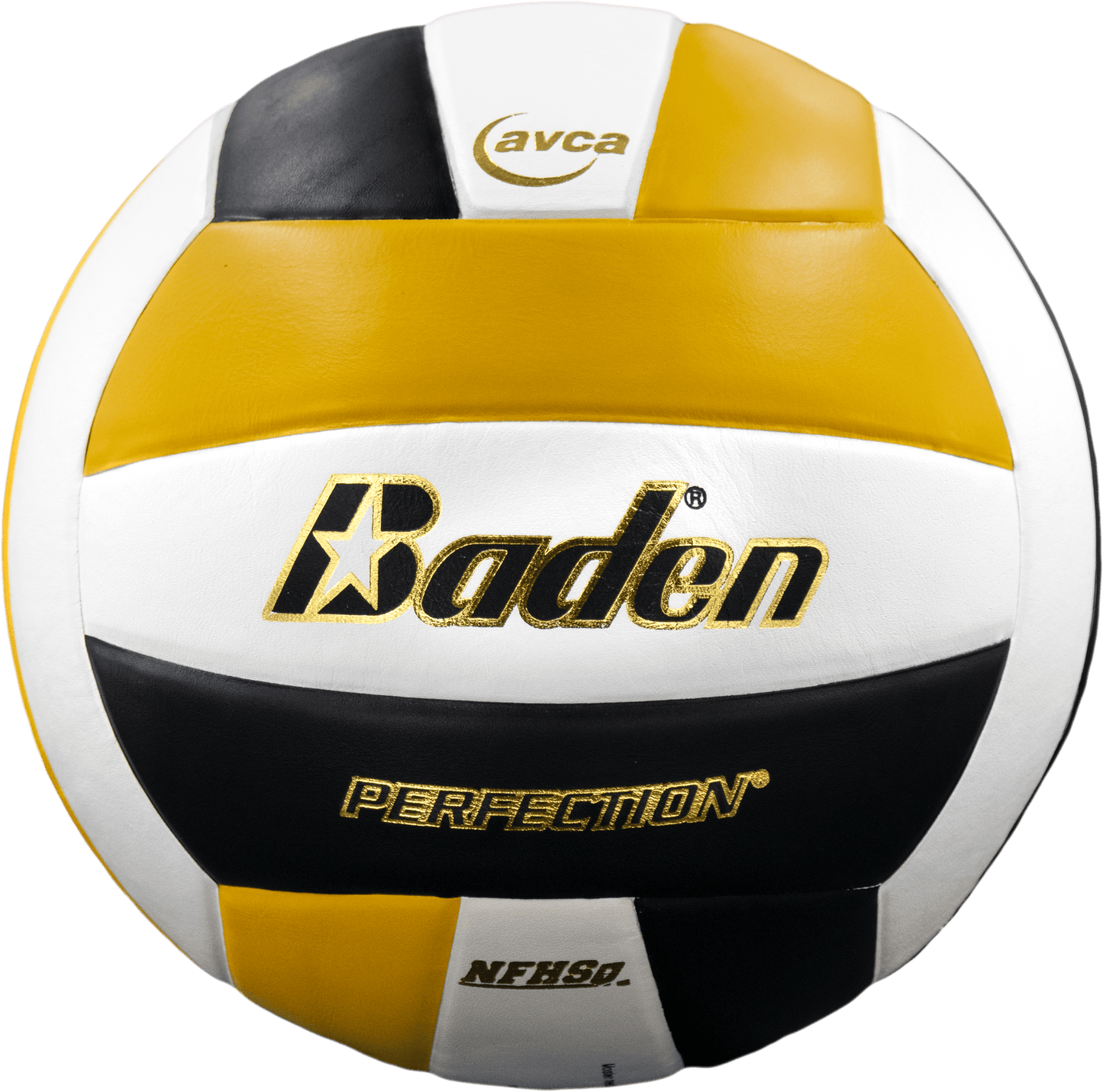 Baden Sports Perfection Leather Volleyball