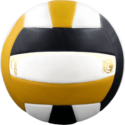 Baden Sports Perfection Leather Volleyball