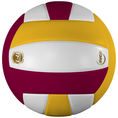 Baden Sports Perfection Leather Volleyball