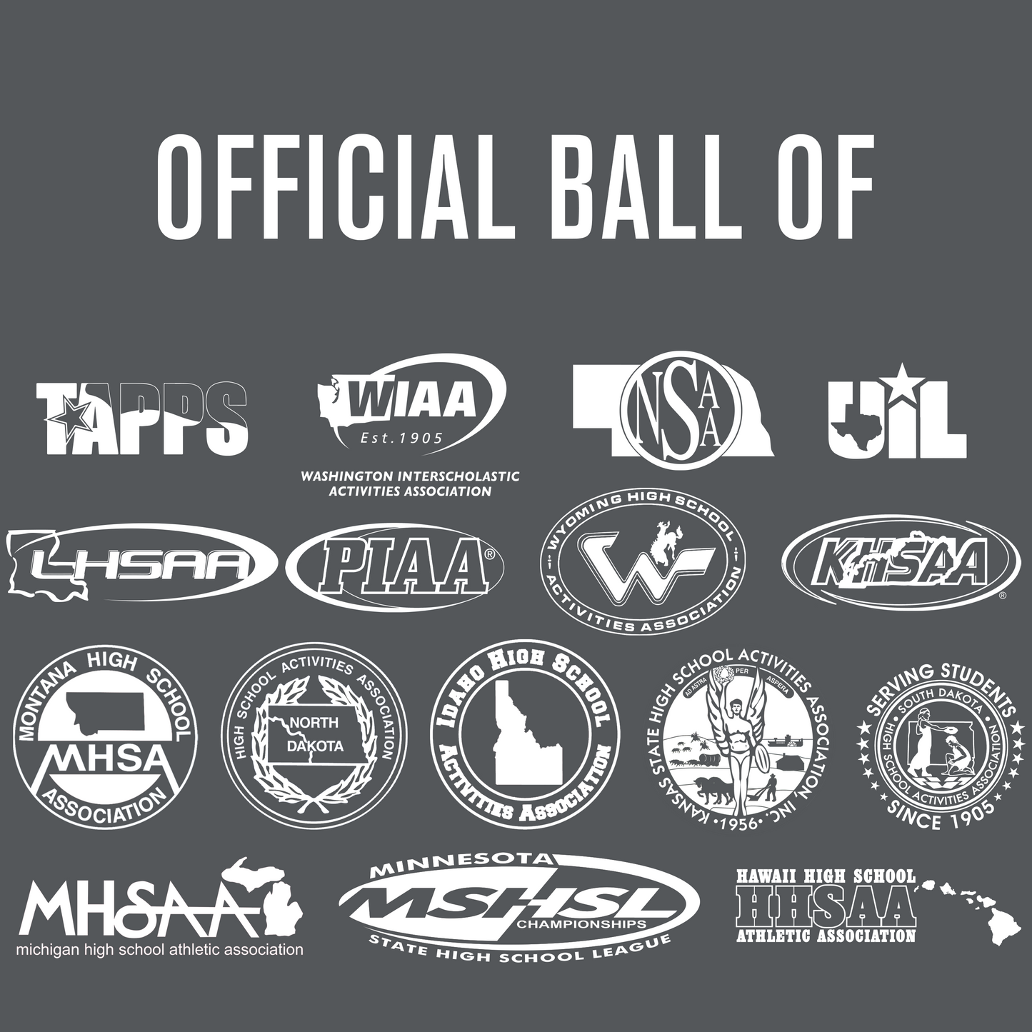 Baden Sports Perfection Leather Volleyball