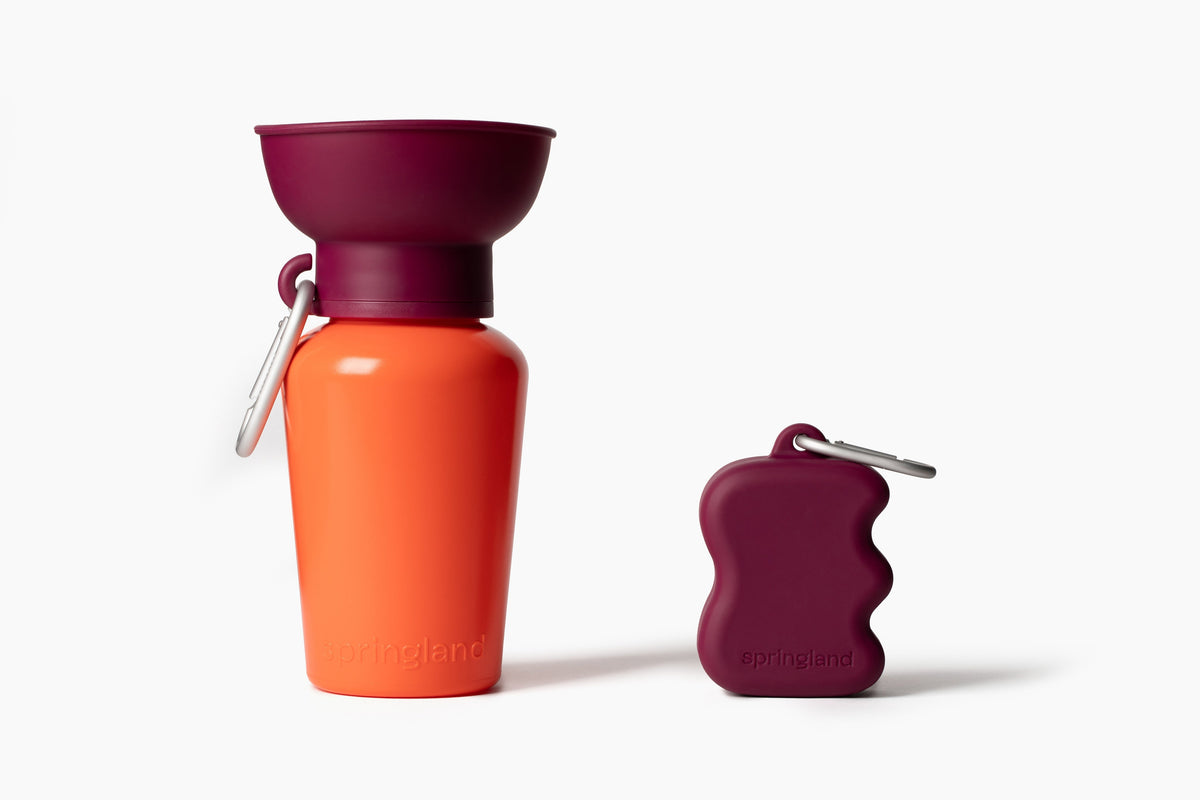 Springland Pets Silicone Dog Treat Dispenser