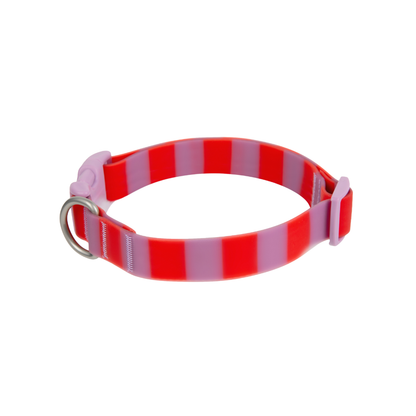 Springland Pets Waterproof Dog Collar
