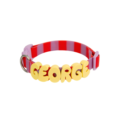 Springland Pets Waterproof Dog Collar