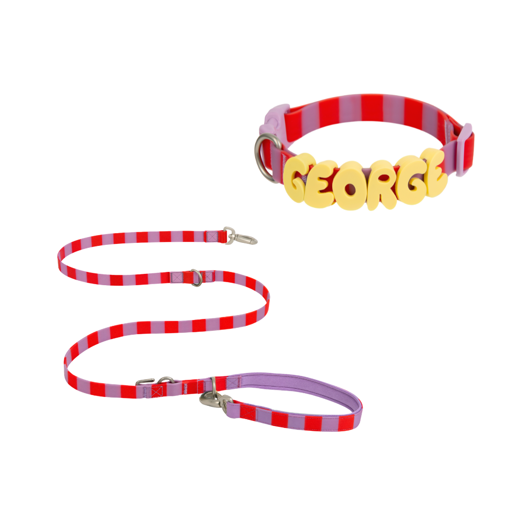 Springland Pets Waterproof Dog Collar