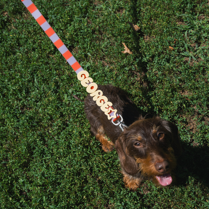 Springland Pets Waterproof Dog Collar
