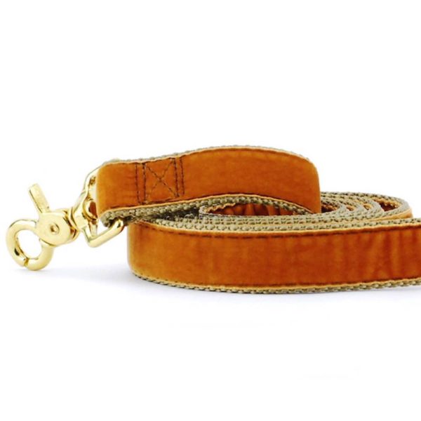 2 Hounds Design Antique Gold Velvet Dog Leash