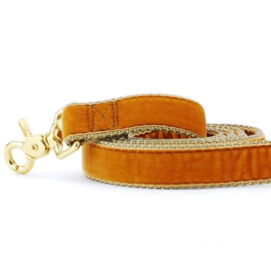 2 Hounds Design Antique Gold Velvet Dog Leash