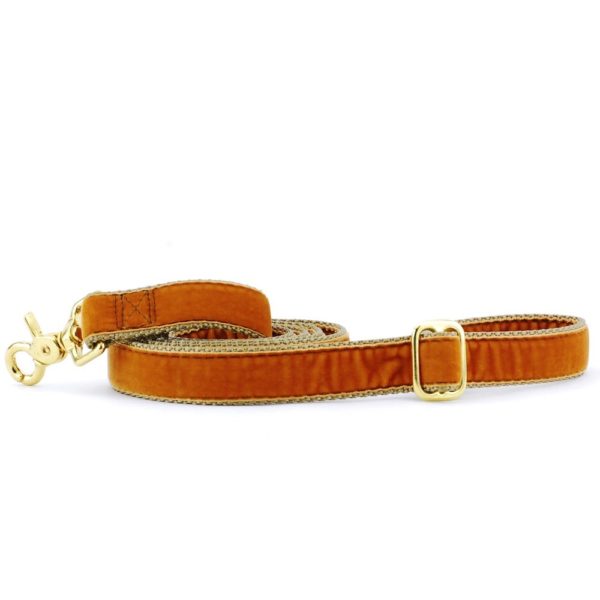 2 Hounds Design Antique Gold Velvet Dog Leash