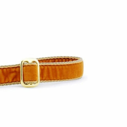 2 Hounds Design Antique Gold Velvet Dog Leash