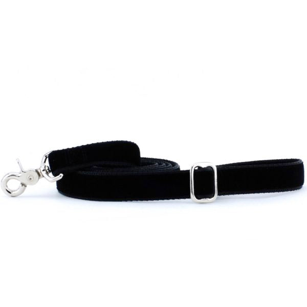 2 Hounds Design Black Velvet Dog Leash