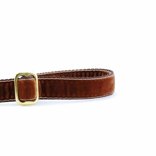 2 Hounds Design Brown Velvet Dog Leash