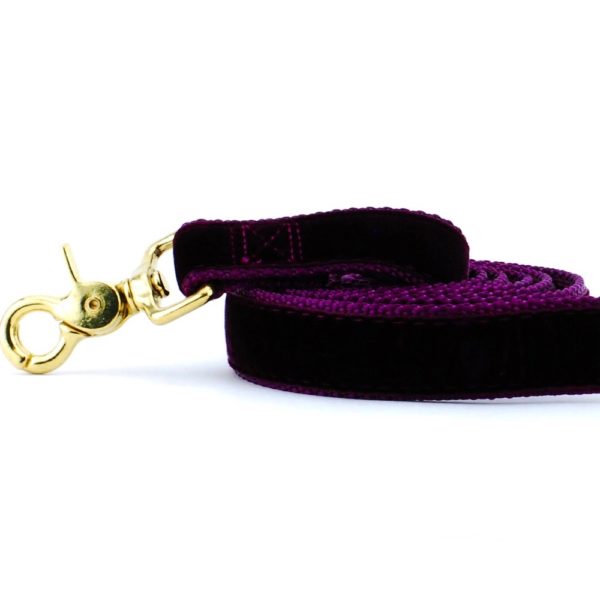 2 Hounds Design Burgundy Velvet Dog Leash