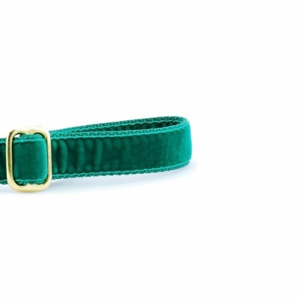 2 Hounds Design Emerald (Kelly) Velvet Dog Leash