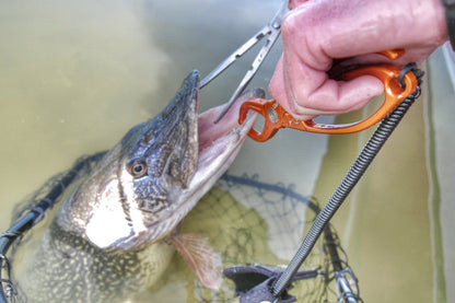 Rising Fishing Work 9"