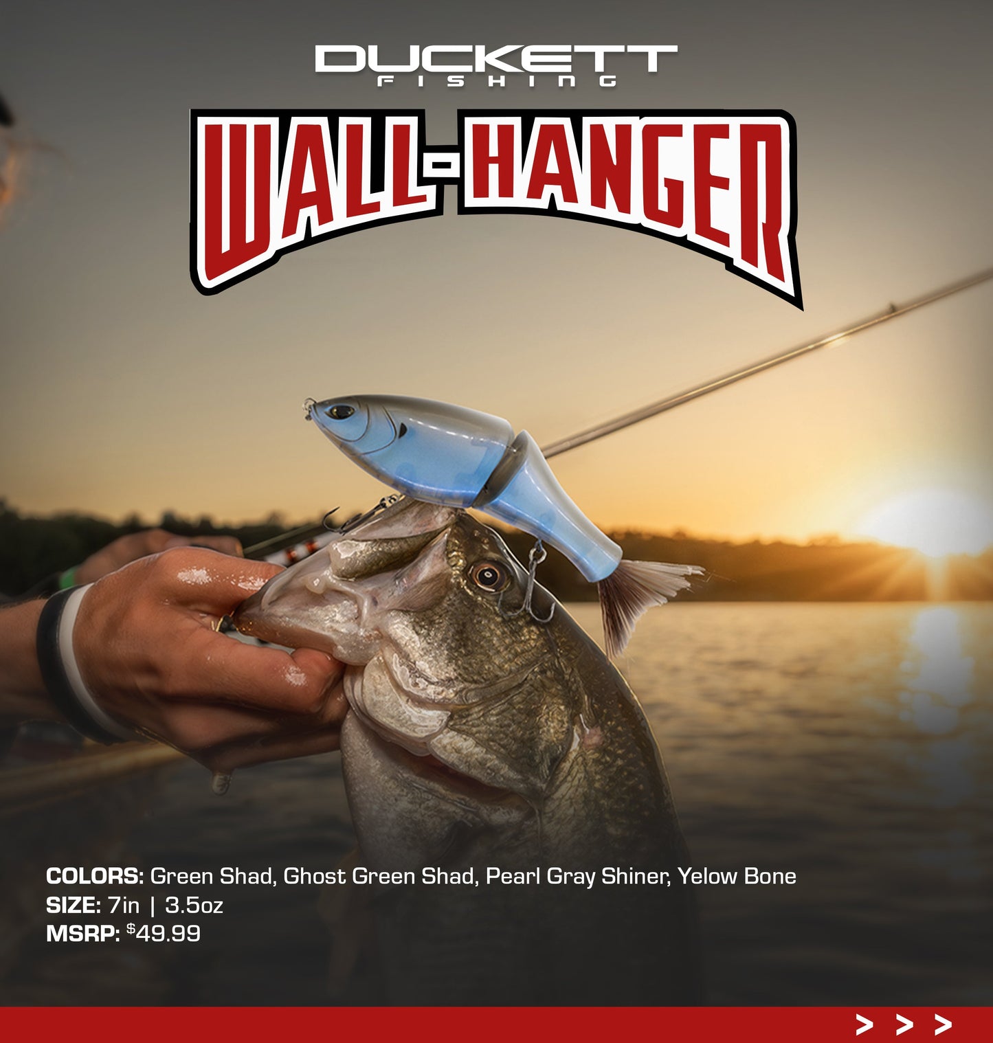 Duckett Wall-Hanger Glidebait