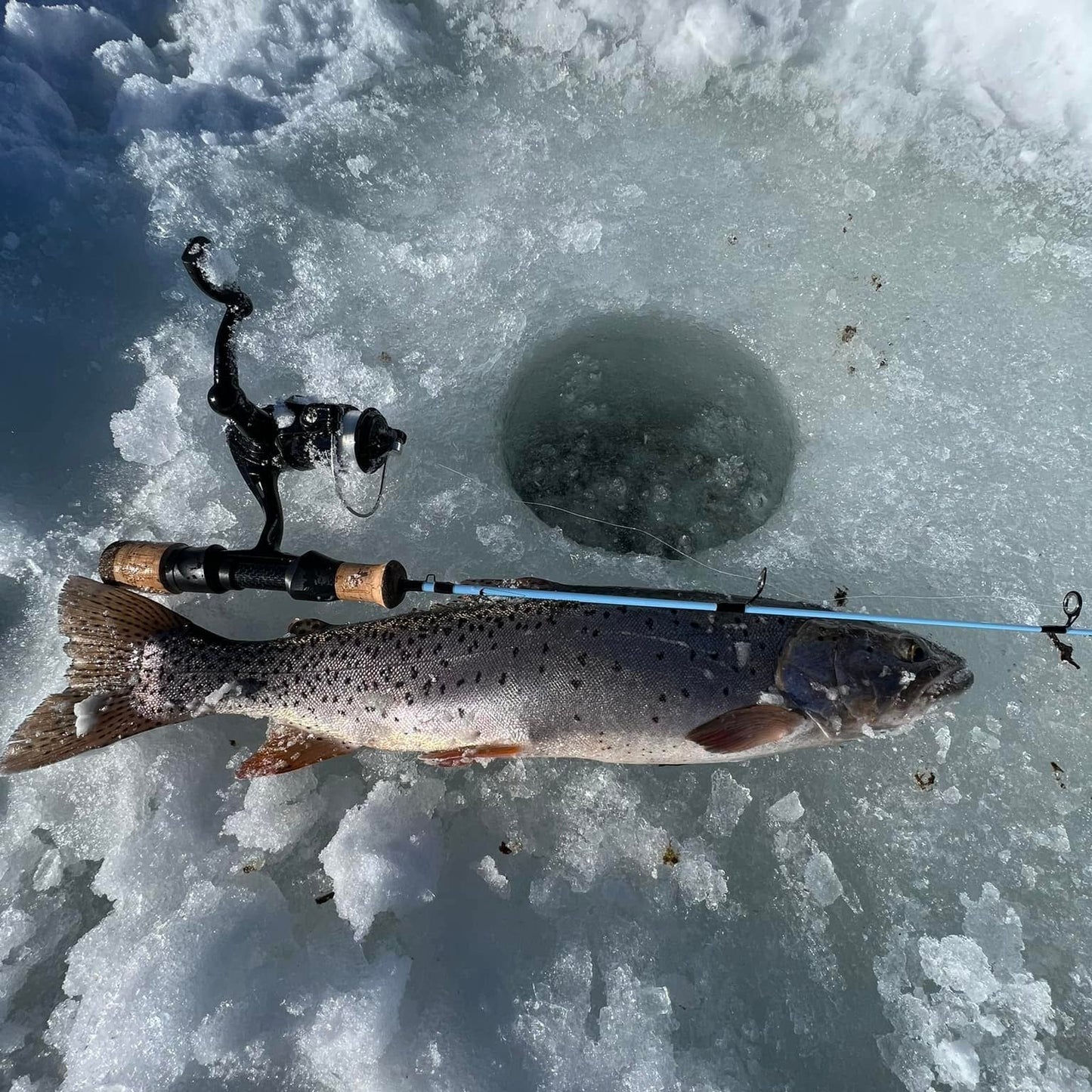 Wasatch Tenkara Rods Winterhawk