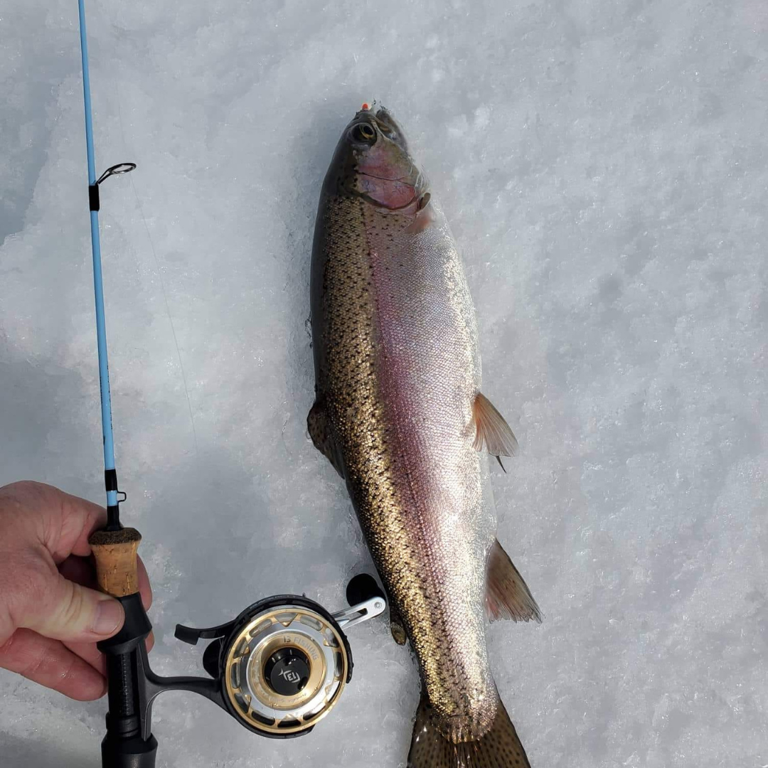Wasatch Tenkara Rods Winterhawk