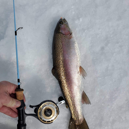 Wasatch Tenkara Rods Winterhawk