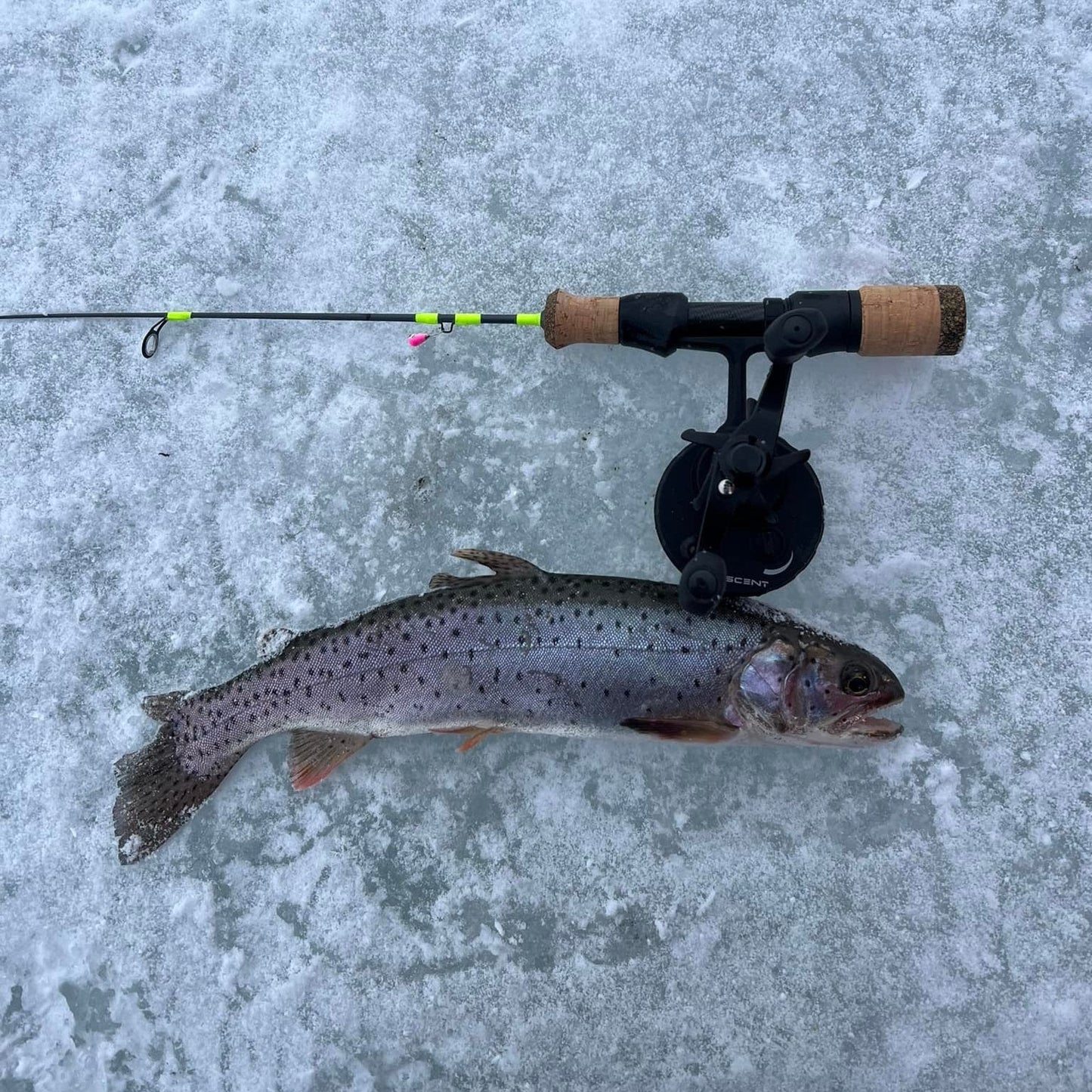 Wasatch Tenkara Rods Ice Breaker