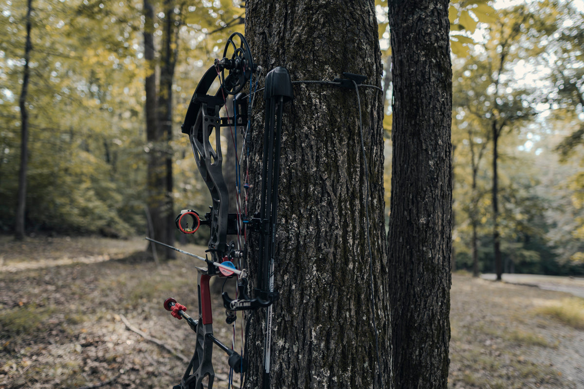 Wayward Ridge  Wire | Pocket Bow Hanger