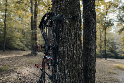 Wayward Ridge  Wire | Pocket Bow Hanger