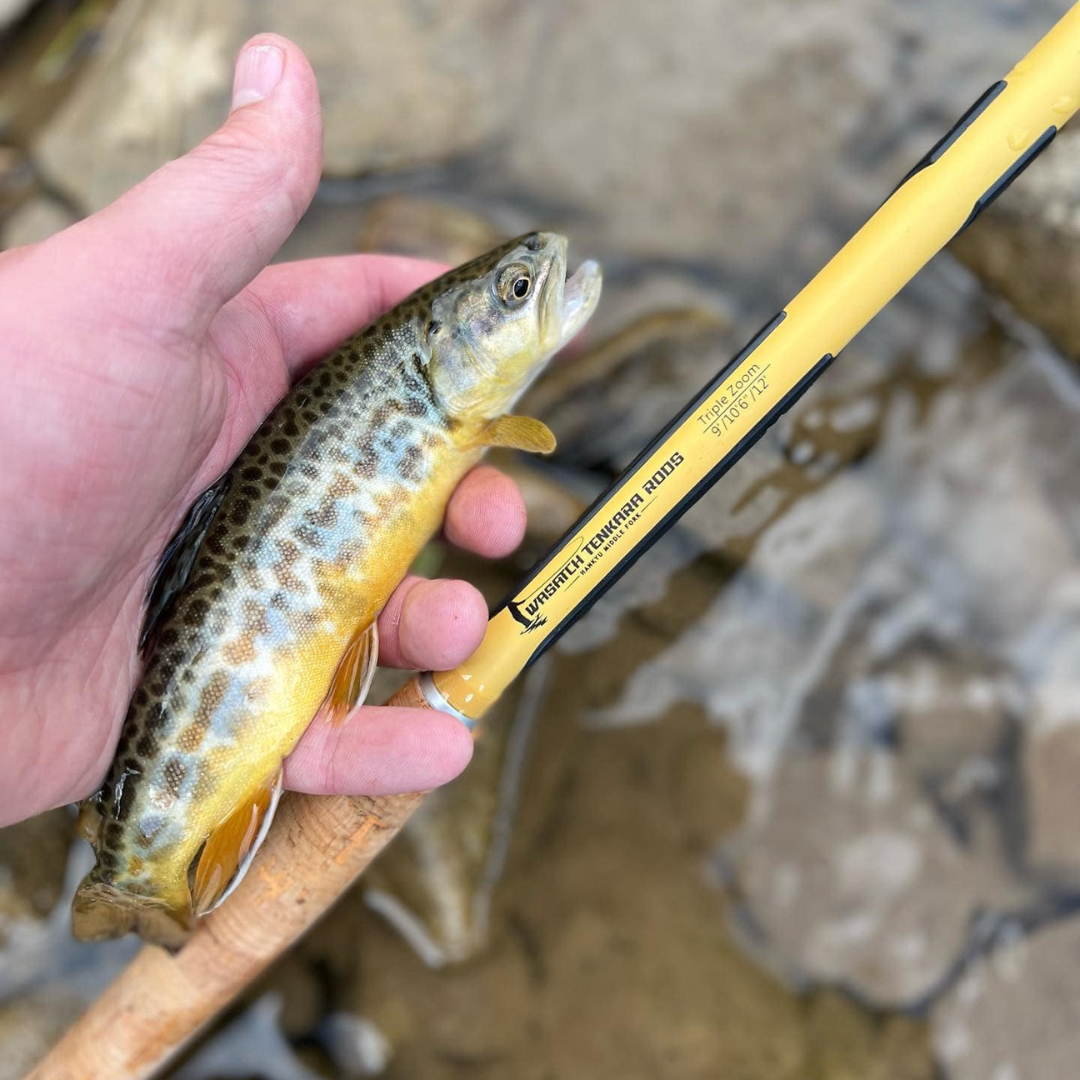Wasatch Hankyu Middle Fork Tenkara Rod