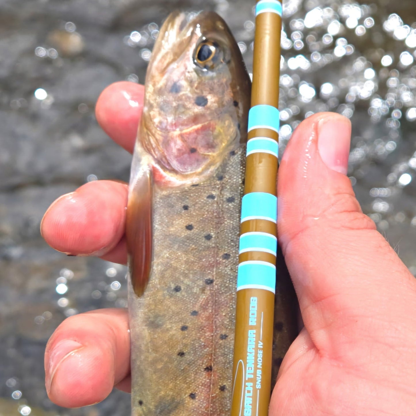 Wasatch Tenkara Rods SNUB NOSE IV