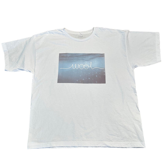 Wool Skateboards Big Fish Tee