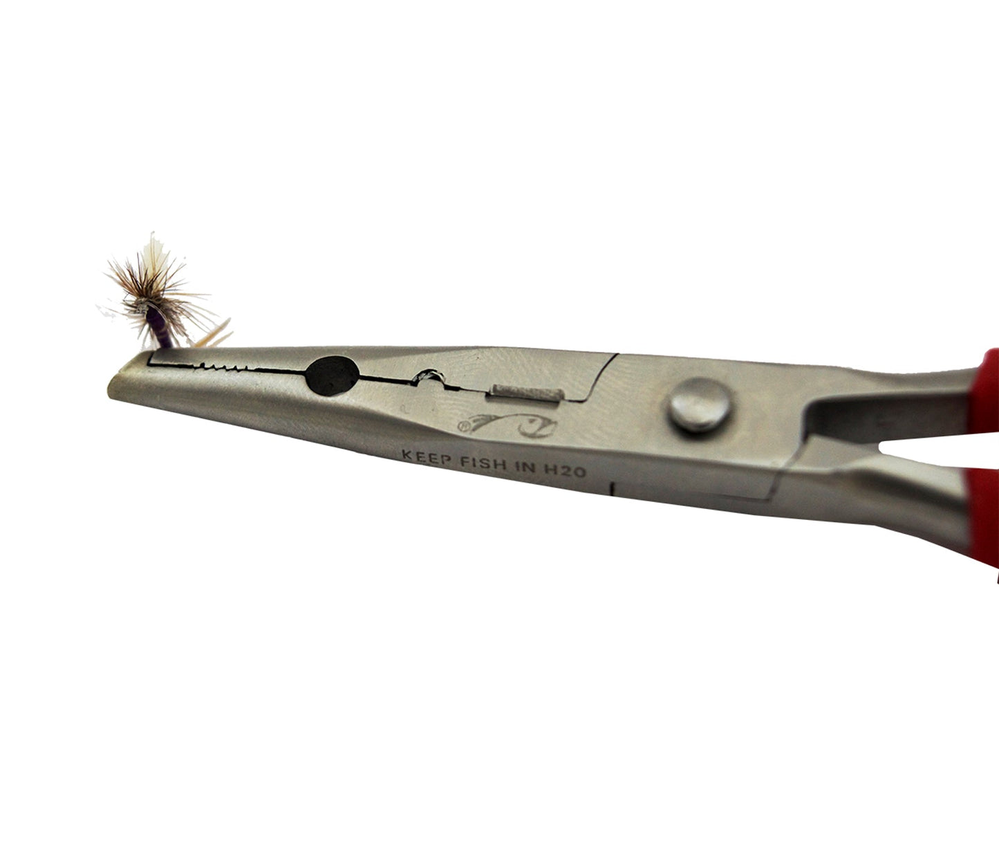 Rising Fishing Work 6"