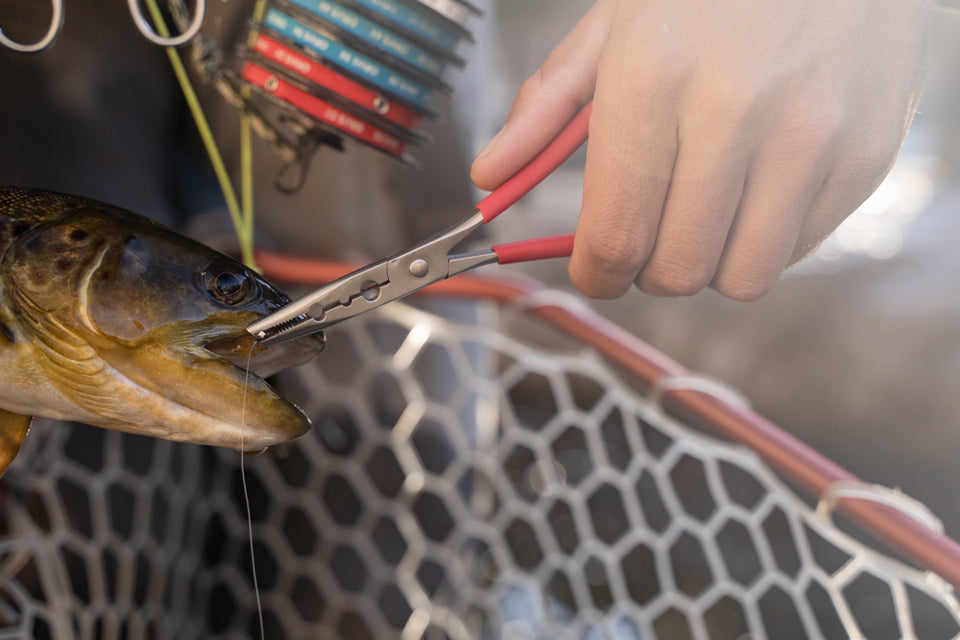 Rising Fishing Work 6"