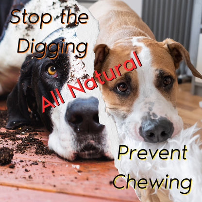 Zone Protects Chewing/Digging Prevention; Bad Dog Bundle Inside/Outside