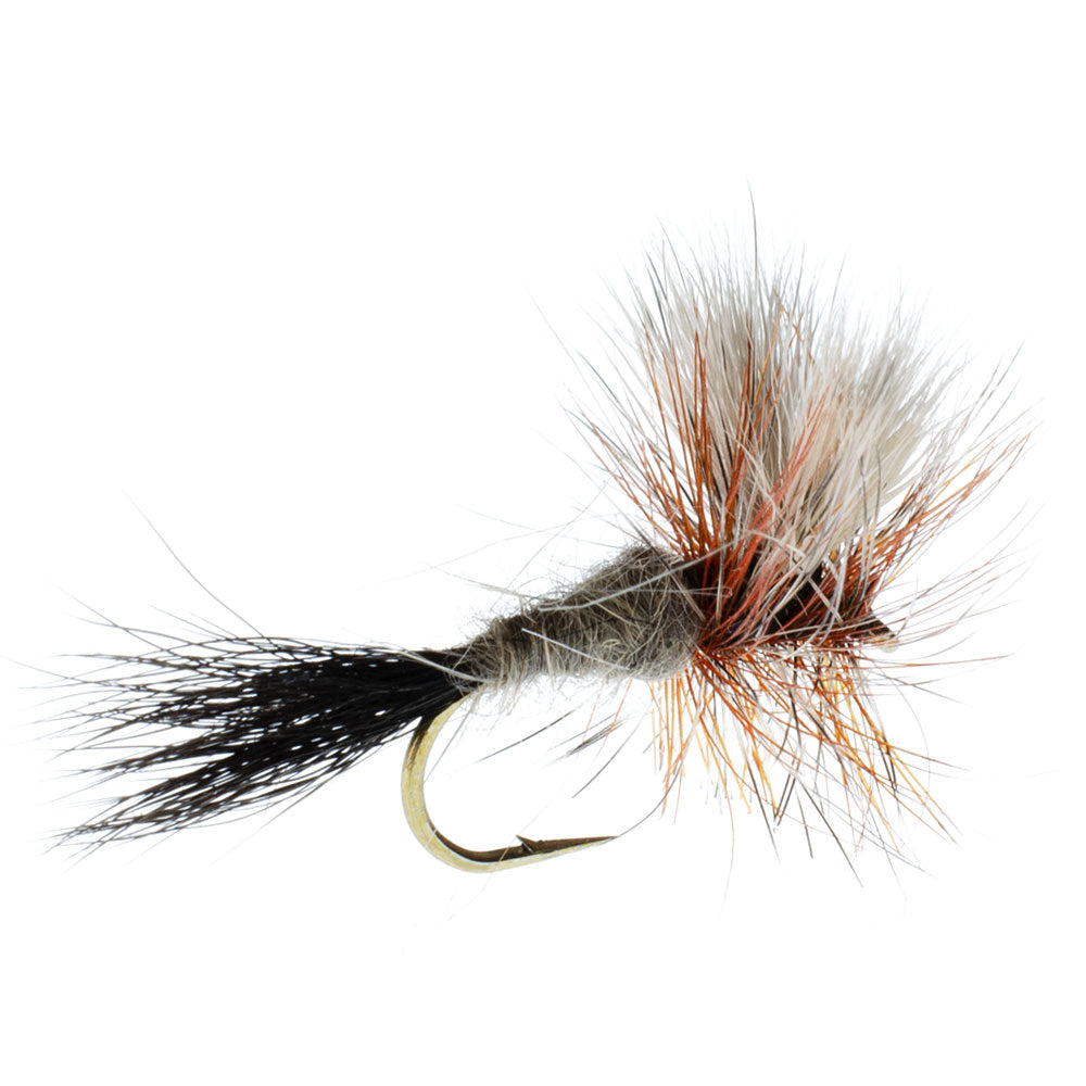 The Fly Fishing Place Ausable Wulff Classic Dry Fly 1 Dozen Flies  Hook Size 10