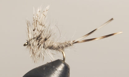 Stone Creek Extended Body Mayfly