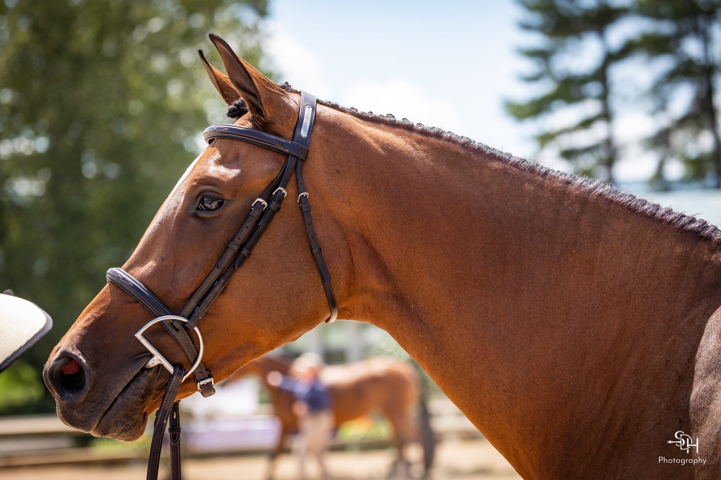 Remarkable Leather Goods Bridle Plate